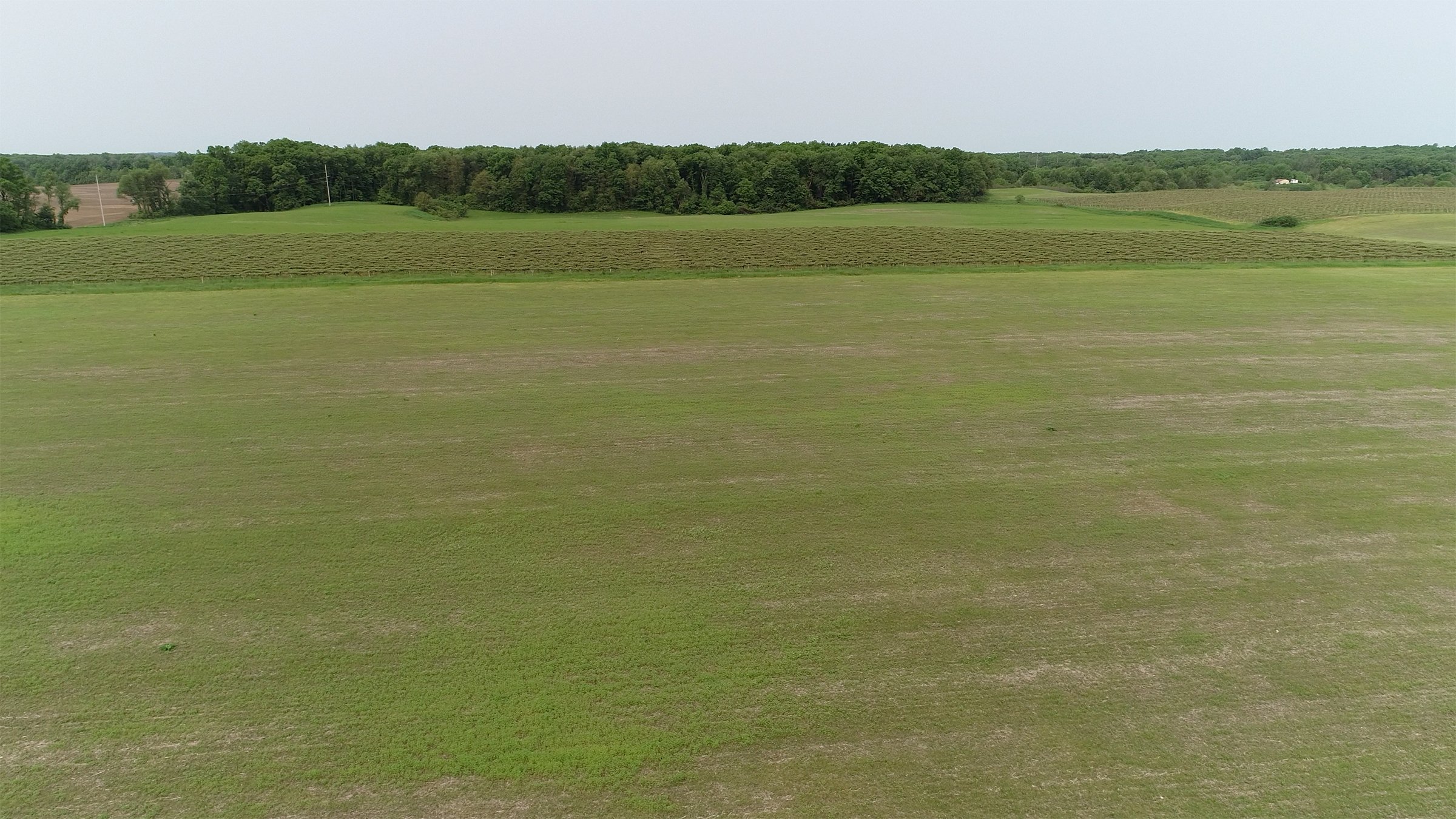 Van Buren County, Michigan farmland - LAND AUCTION - 194+/- ACRES OFFERED IN 5 TRACTS IN VAN BUREN COUNTY, MICHIGAN